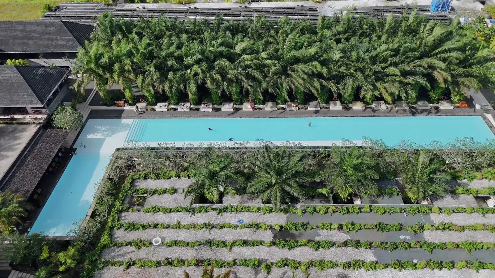 ONYX campus — pool, jungle and architecture
